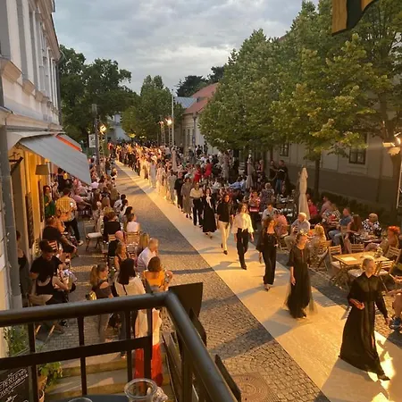 Kedves Vendeghaz Bed and Breakfast Balatonfüred