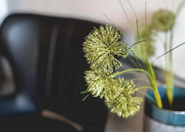 Kedves Couette-café 3*